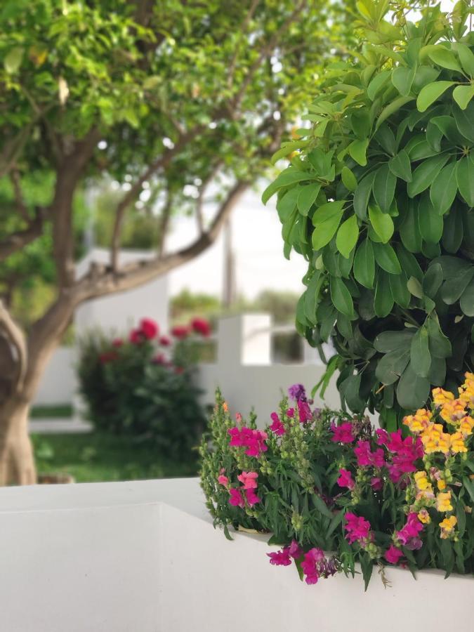 아르테미다 Alykes House Near The Sea 빌라 외부 사진